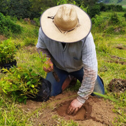 Ökologische Sanierung